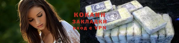 крисы Верея