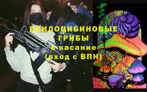 крисы Верея
