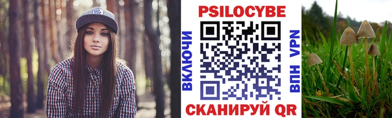 OMG   Лысьва  Галлюциногенные грибы мухоморы  продажа наркотиков 